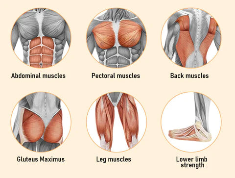 Ab Roller Wheel for Abdominal and Core Strengthening